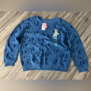 Blue Sweatshirt with Embroidery